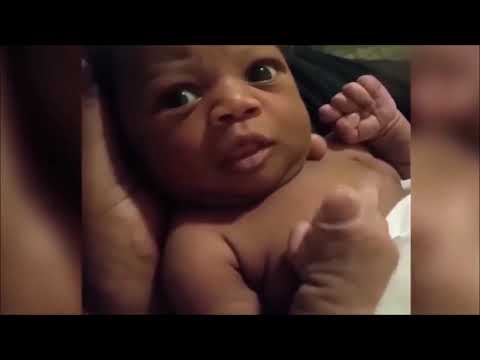 LIKE A BOSS COMPILATION