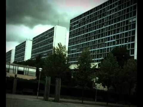 Days that goes by, Peter Rønn