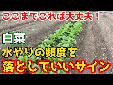 しかし、コンポスター内の湿度を測定する方法