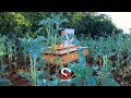 MAREHEMU KUWACHWA SHAMBANI MASIGE WEST KISII COUNTY