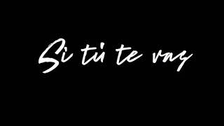 Carlos Said &quot; si tu te vas &quot; mui pronto