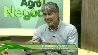 Miniatura do vídeo