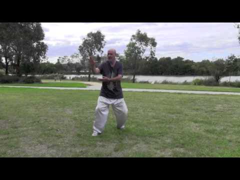 Best Tai Chi Beginner's Form - Ba Kai Shi