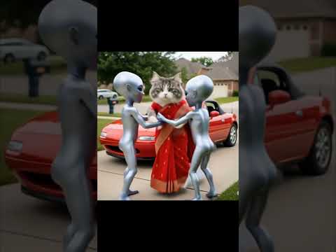 Ai animation cat's video#cartoon #catshorts #crazycat #cats video