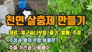 친환경 천연 살충제 만드는 방법과 사용방법 꿀팁(주정과 멀구슬나무 이용) 천연농약 만들기