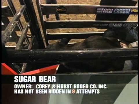 Kelly Armstrong 89 on Sugar Bear 2003 Tacoma