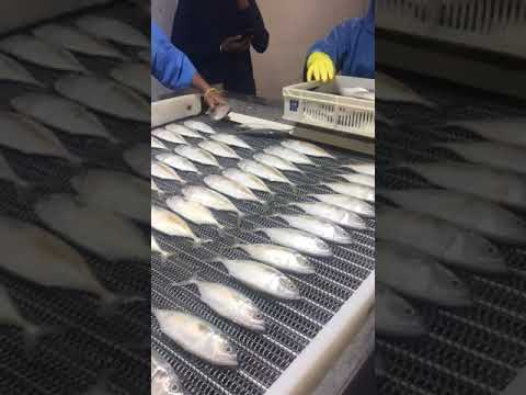 Wire Mesh Chain Conveyor