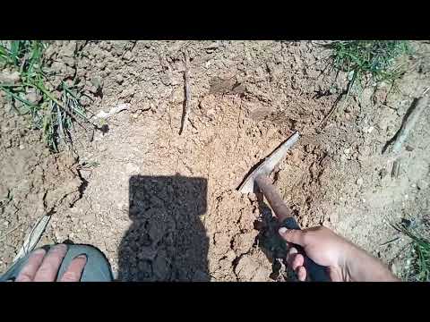 Defineyi Kazarken İlginç Sesler Başlayınca Kaçtım !!!