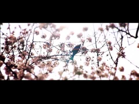 The Spirit of the Beehive "cops come looking" Official Video