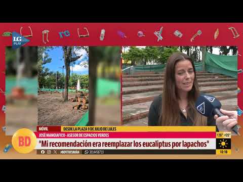 La municipalidad de Lules responde a la denuncia de "genocidio ambiental"