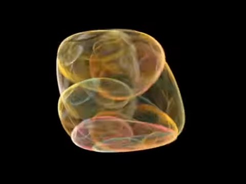 Kenji Williams - Death and Rain