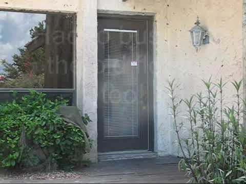 Twin Brushless E-starter (Land and sea)