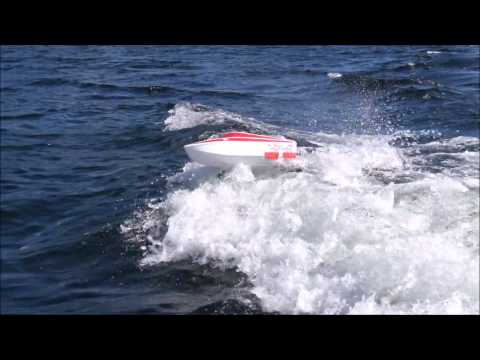 Thrasher in 60 seconds