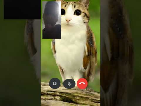 13 de janeiro de 2026