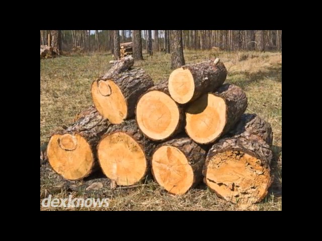 Woodchuck Tree Service - Durango, CO