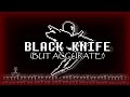Black Knife Lyrics Accurate Deltarune