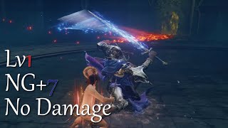 [問題] 法環DLC有人不撿庇佑通關的嗎？