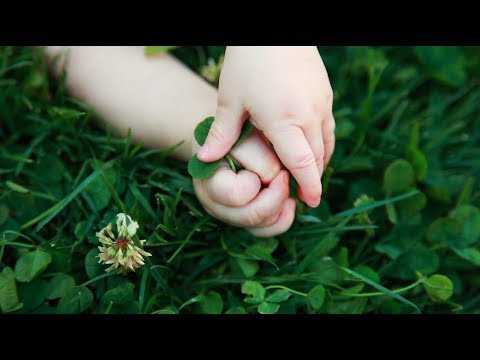 "Touch" - Sleeping At Last (Micro Music Video)