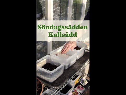 Söndagssådden Kallsådd - Trädgårdshacks med GardenR