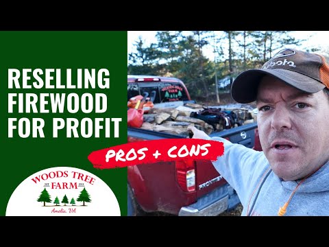 Reselling Firewood For Profit - Pros & Cons #234
