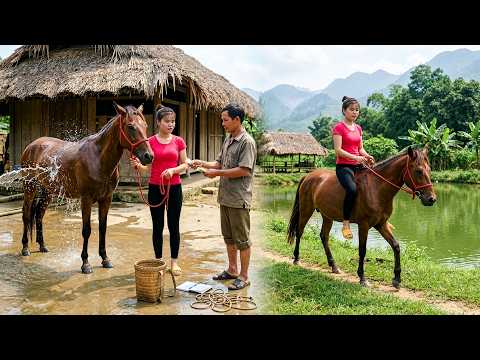 Trading the Old Horse for a Stronger New Horse | Care and Bathe the Horse