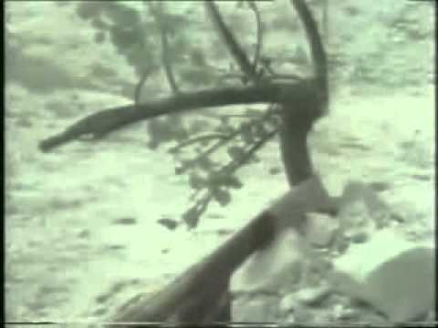 Doctor Who Episode Tribute No.77 - The Deadly Assassin