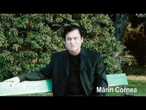 MĂRIN CORNEA - ÎNTR-O ZI CÂND N-AVEAM TREABĂ