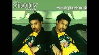 Download lagu Shaggy - Why Me Lord mp3