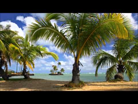 Wiley Lights On feat. Angel and Tinchy Stryder