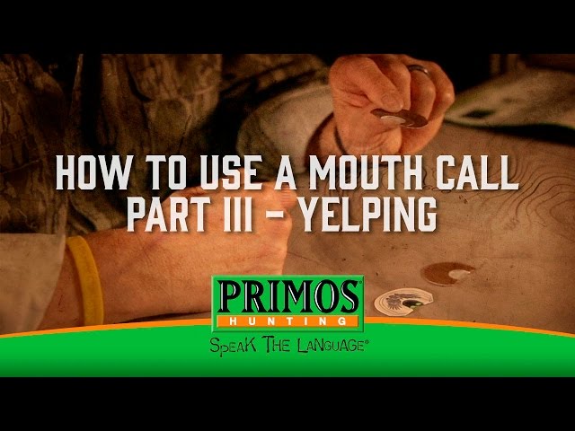 How to Use a Mouth Call Part 3