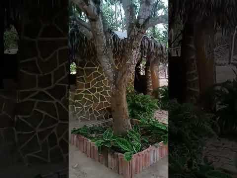 fui no sítio primavera para mostrar com mais detalhes como ficou o coração depois de pronto