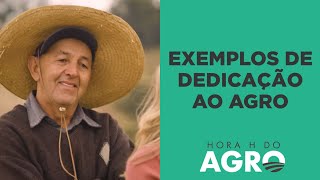 Com trabalho árduo, suor e amor pelo campo, agricultor de hortaliças alimenta o Brasil | HORA H