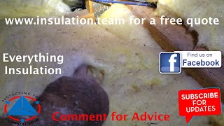 Review of cellulose fibre insulation and what down lights look like when they are insulated.