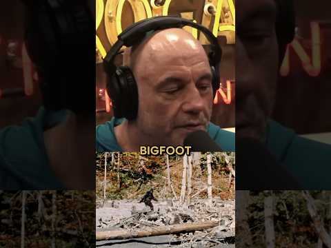 Joe Rogan Comments On BIGFOOT Evidence With Bob Gymlan