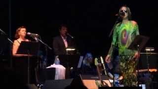 Todd Rundgren Akron Orchestra Aug. 31, 2013 - LOVE IN DISGUISE