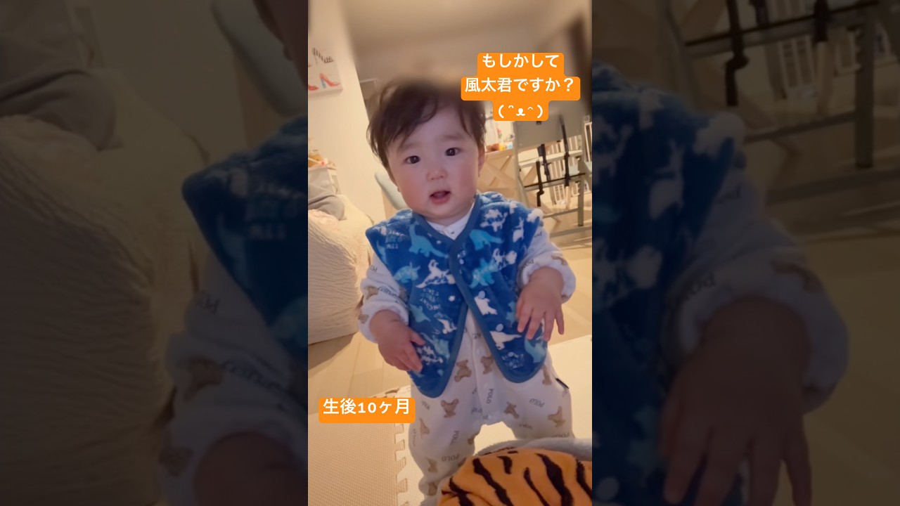【生後10ヶ月】立ってますか？立ってますね？！！！！/Tareme-kun stood up too quickly!
