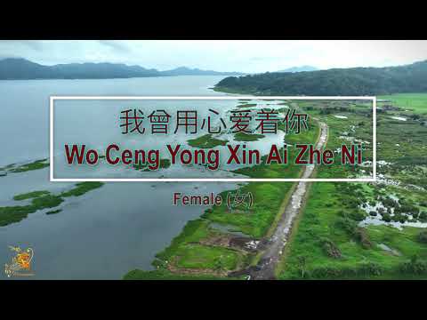 我曾用心爱着你 (Wo Ceng Yong Xin Ai Zhe Ni) Female Version - Karaoke Mandarin