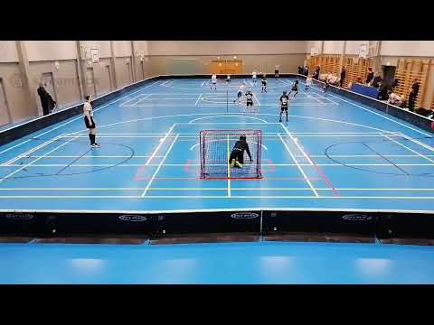 E2 SK 17.1.2021 Martti Ahtisaari