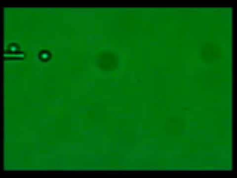Optical driving of a particle
