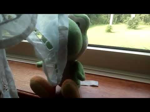 Kyle Carr  Yoshi stuffy?😲😵😨