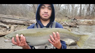 Steelhead fishing high stained water