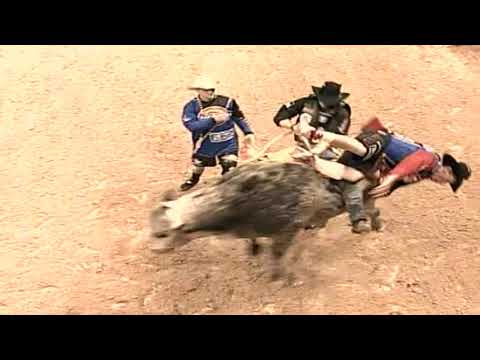 PBR 2005: Little Boy Blue falls on Tony Mendes