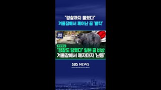 경찰까지 물렸다 겨울잠에서 깨어난 곰에 일본 공포 확산 #shorts