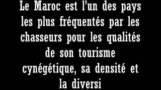 LE MASSACRE QUI ENTRAINERA L'EXTERMINATION DU SANGLIER