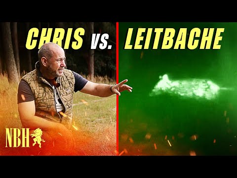 Kampf der Intelligenz! Wer hat die Nase vorn im Wald - Jäger oder erfahrene Leitbache? Sauen im Juli