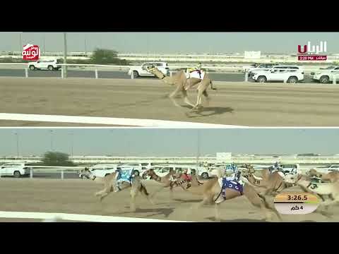 ش 11 (شناح) عايض رفعان القحطاني 5:54:93 , مهرجان الأمير الوالد 2026/2/4 حقايق الشحانية