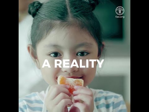 Schools can contribute to making the right to food a reality