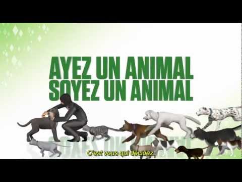 A la D�couverte des B�b�s Animaux Nintendo DS