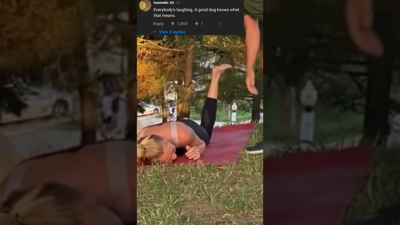 Truly A Man's Best Friend #9gag