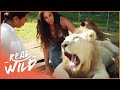 This Woman Leads A Lion Pride | Real Wild